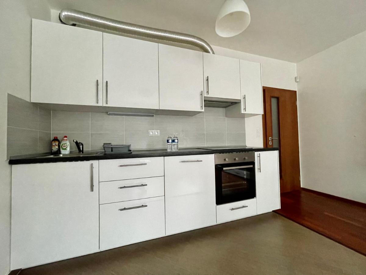 Centrum Park Apartment+ Praga